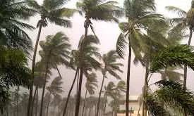 AP Suffers ₹5,244 Core Loss Due To Cyclone Montha: CS Report