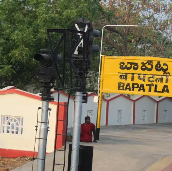 Shepherd, 90 Sheep Rescued from Rising Krishna River in AP Shepherd, 90 Sheep Rescued from Rising Krishna River in AP