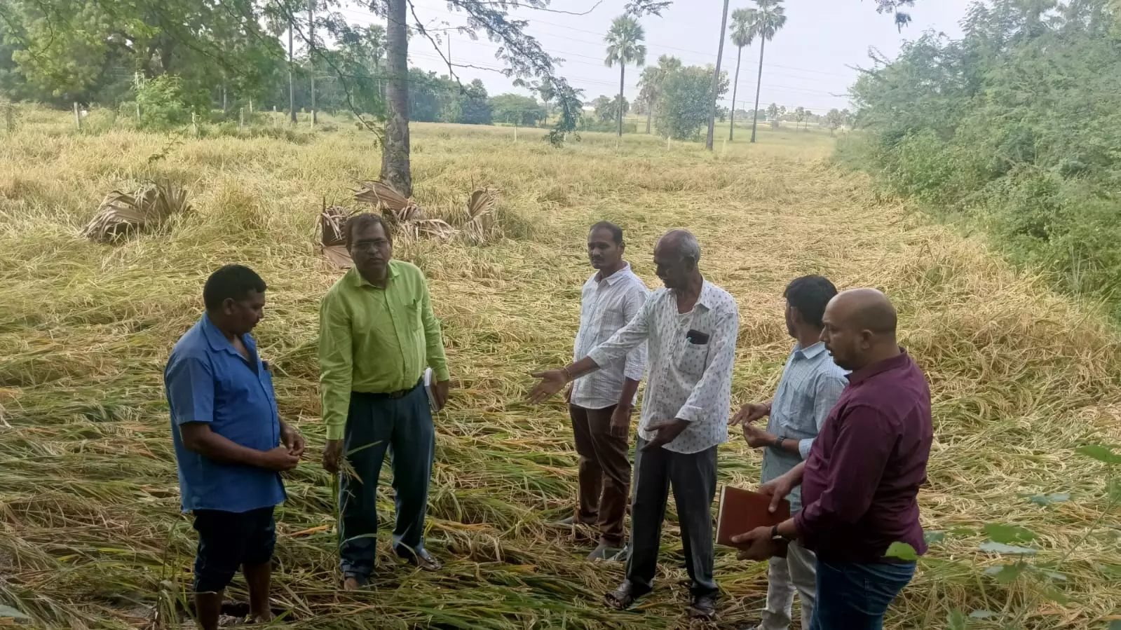 Farmers Urged To Take Steps To Cut Losses, Prevent Disease Outbreak