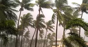 AP Suffers ₹5,244 Core Loss Due To Cyclone Montha: CS Report AP Suffers ₹5,244 Core Loss Due To Cyclone Montha: CS Report