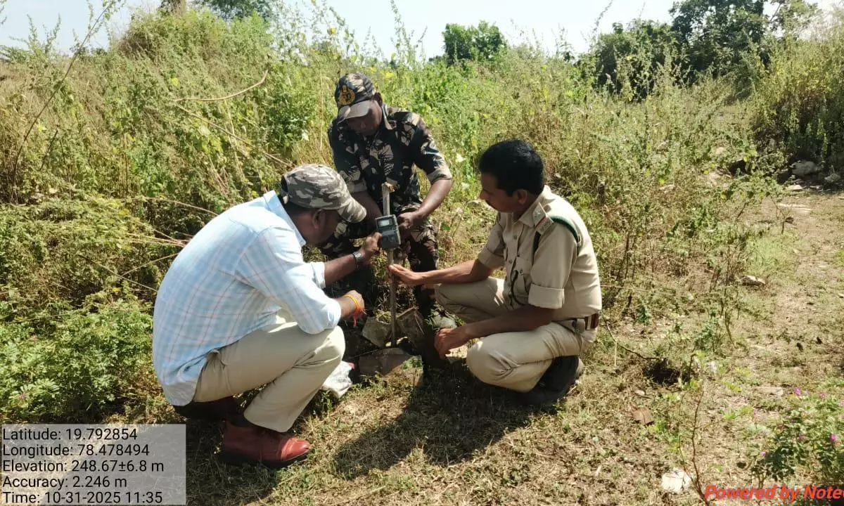 Mating Season Turns Risky For Migrating Tigers In Adilabad