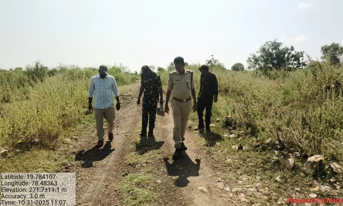 Mating Season Turns Risky For Migrating Tigers In Adilabad