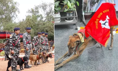National Canine Bravery Awards To Celebrate Courageous Dogs At HyCan 2025
