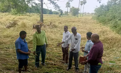 Farmers Urged To Take Steps To Cut Losses, Prevent Disease Outbreak