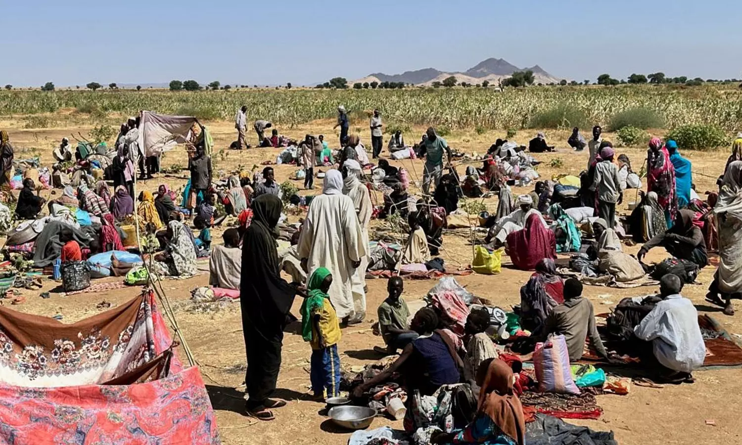 Top Diplomats from Germany, Jordan, UK Urge Immediate Ceasefire in Sudan Conflict