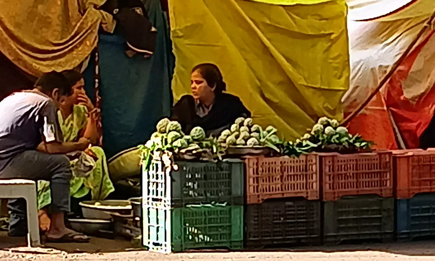 Poor Man’s Fruit, Custard Apple, Turns Costly in Warangal