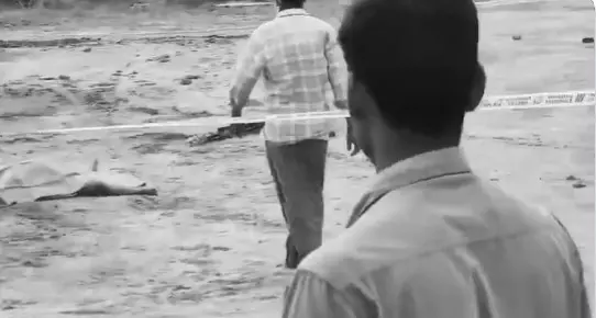 Telangana: Body of Headless Woman Found Telangana: Body of Headless Woman Found