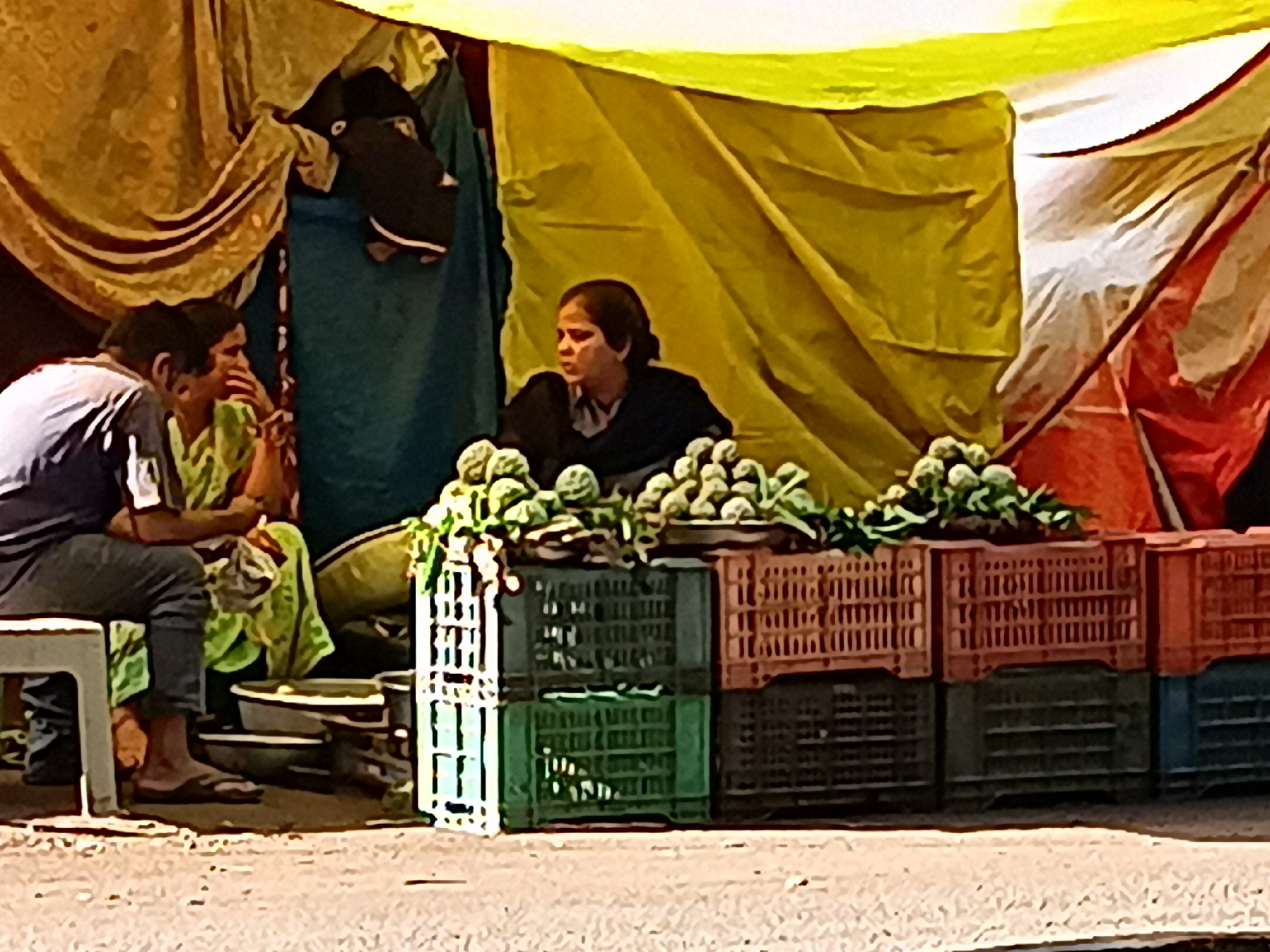 Custard Apples Become Costly in Warangal Amid Supply Decline