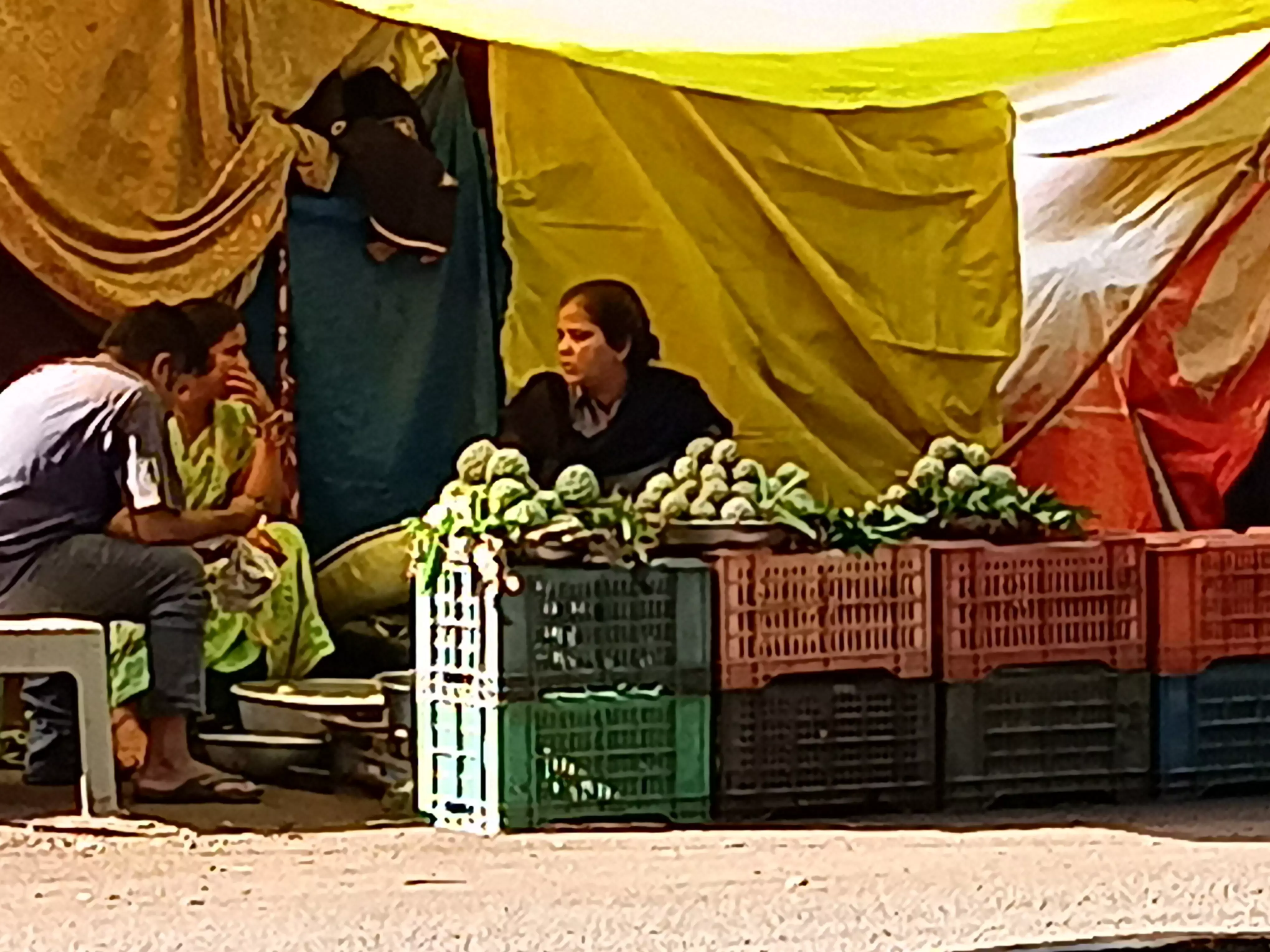Poor Man’s Fruit, Custard Apple, Turns Costly in Warangal Poor Man’s Fruit, Custard Apple, Turns Costly in Warangal