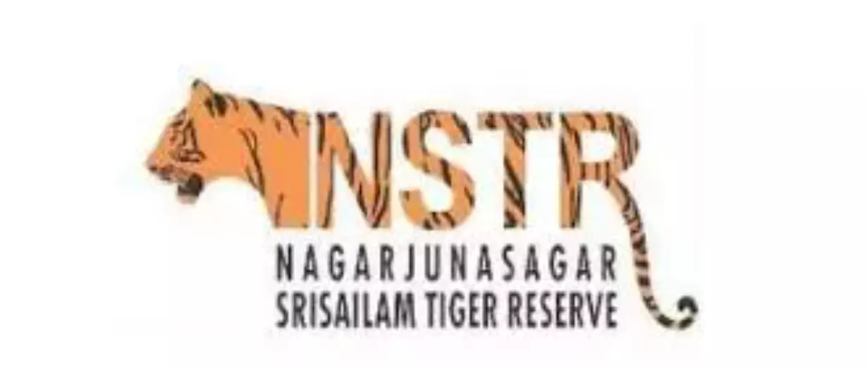 AP To Deploy High-Resolution Camera Traps For Tiger Estimate In Nagarjunasagar–Srisailam Tiger Reserve AP To Deploy High-Resolution Camera Traps For Tiger Estimate In Nagarjunasagar–Srisailam Tiger Reserve