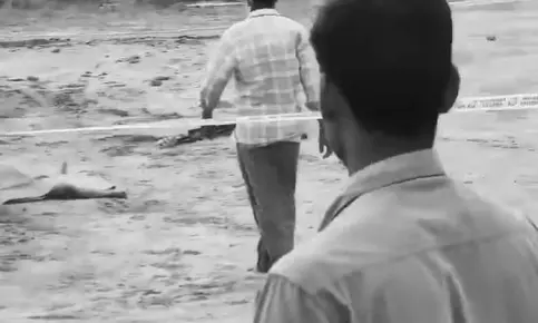 Telangana: Body of Headless Woman Found