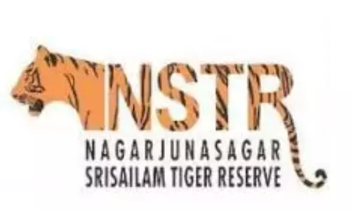 AP To Deploy High-Resolution Camera Traps For Tiger Estimate In Nagarjunasagar–Srisailam Tiger Reserve