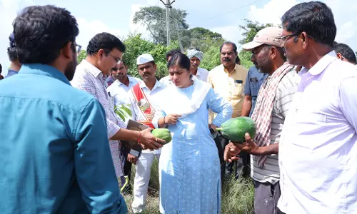 Warangal, Hanamkonda Steps Up Relief Works After Floods