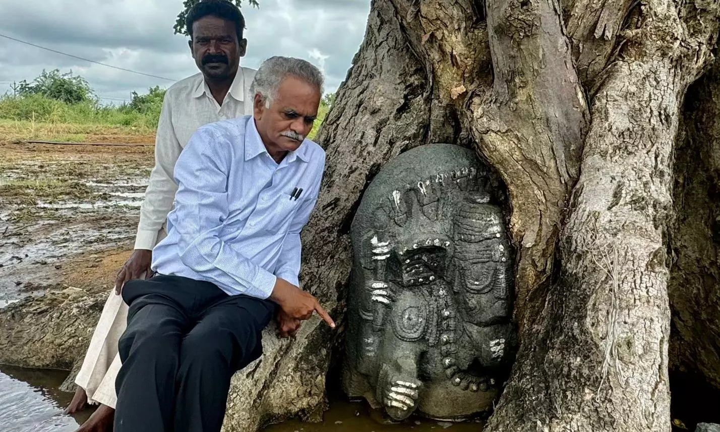 12th-century Ganesha Idol Trapped in Tree at Nagarkurnool Temple 12th-century Ganesha Idol Trapped in Tree at Nagarkurnool Temple
