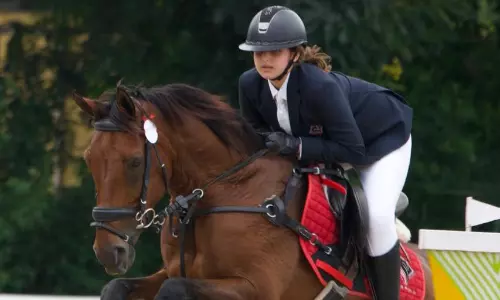 The Crore Saddle Club