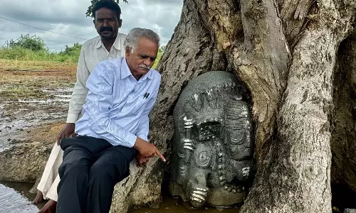 12th-century Ganesha Idol Trapped in Tree at Nagarkurnool Temple