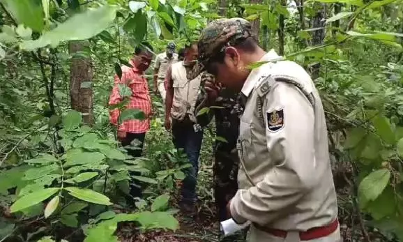 Tiger Pugmarks Spotted in Odisha’s Keonjhar Forests, Officials Step Up Monitoring Tiger Pugmarks Spotted in Odisha’s Keonjhar Forests, Officials Step Up Monitoring