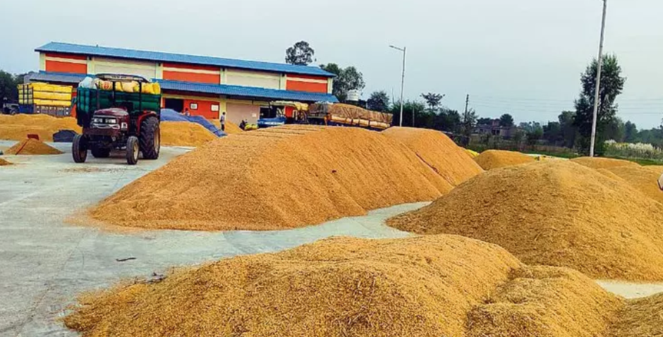 Fake Farmers Embezzle Rs. 3.3 Crore in Telangana Paddy Procurement Scheme