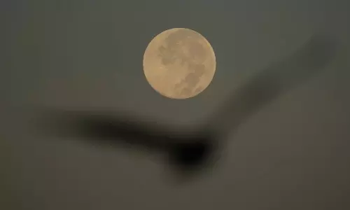 How to Spot November’s Supermoon, the Closest of the Year