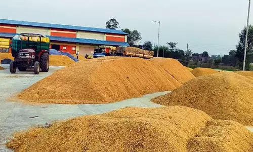 Telangana: Fake Farmers Steal Rs.3.3 Cr Government Funds Telangana: Fake Farmers Steal Rs.3.3 Cr Government Funds