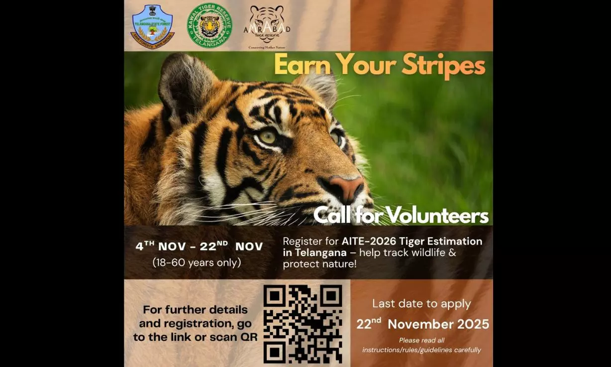 Telangana Forest Department Calls For Volunteers For Tiger Count