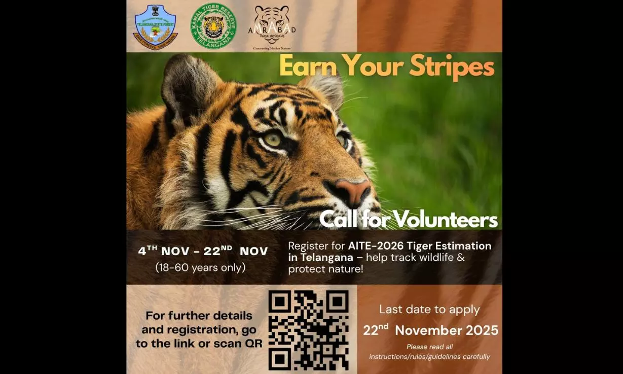 Telangana Forest Department Calls For Volunteers For Tiger Count Telangana Forest Department Calls For Volunteers For Tiger Count