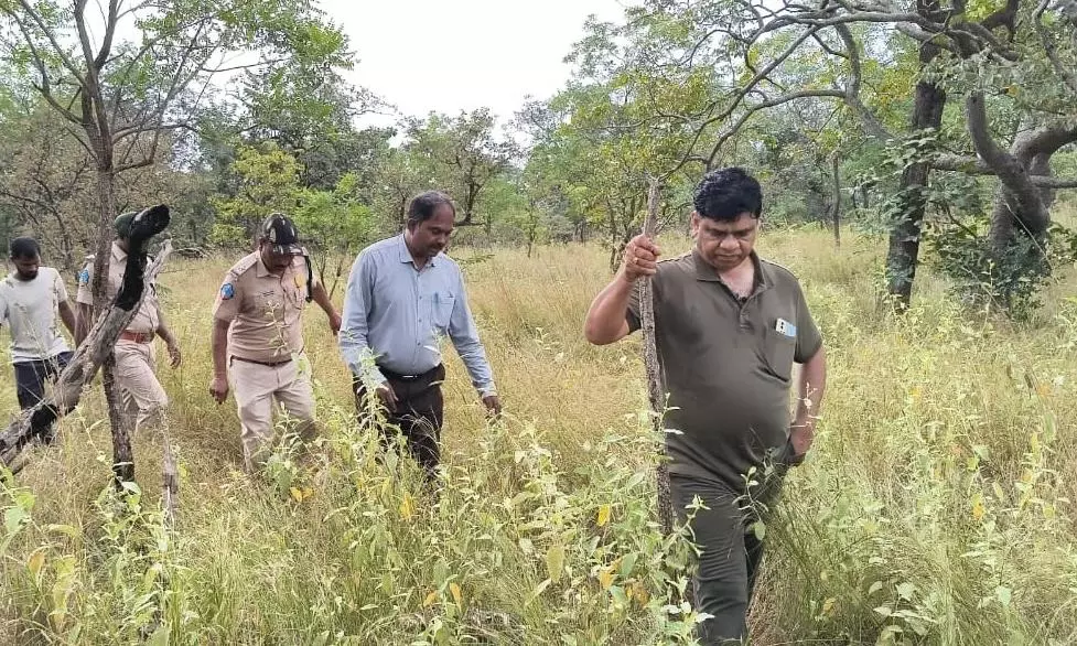 Telangana Forest Department Calls For Volunteers For Tiger Count Telangana Forest Department Calls For Volunteers For Tiger Count