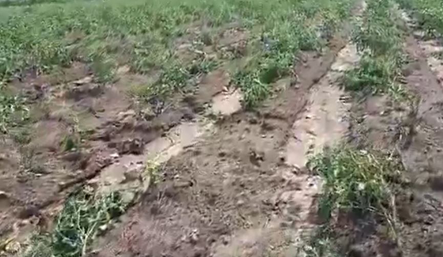 Waterspout Tosses Farmers, Destroys Trees in Telangana Forest