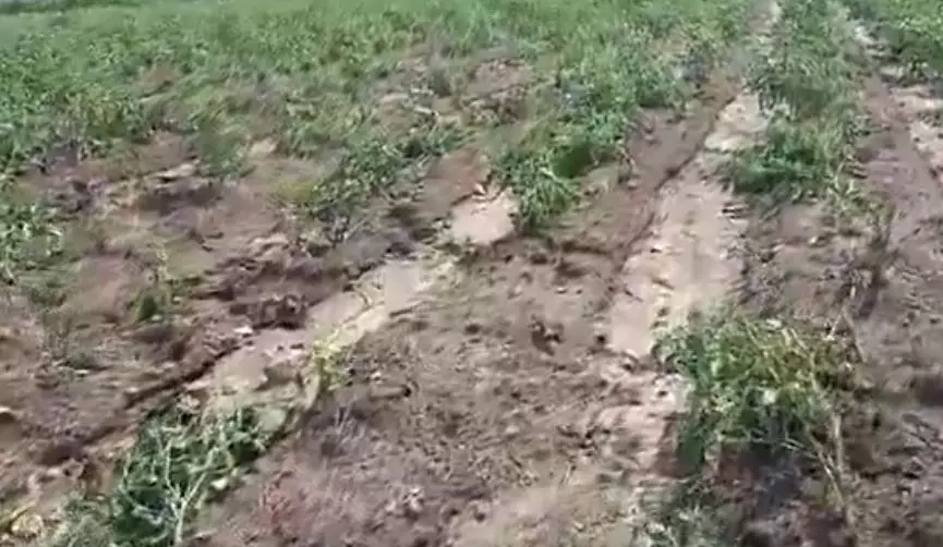 Waterspout Strikes Lenkalagadda Forest in Telangana