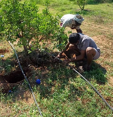 P&G India Launches Water Conservation Project in Telangana