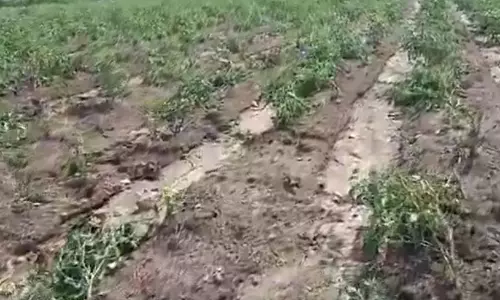 Waterspout Strikes Lenkalagadda Forest in Telangana