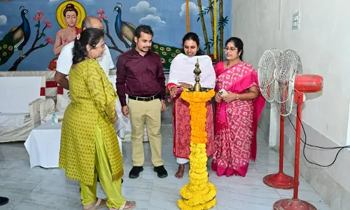 Collector Leads Vanamahotsavam Celebrations With Fun, Awareness