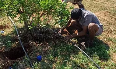 P&G India’s New Water Conservation Project in Telangana, Advancing its Sustainability Goals P&G India’s New Water Conservation Project in Telangana, Advancing its Sustainability Goals