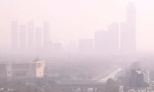 Rising Air Pollution in India: Lessons from China’s Fight Against Smog Rising Air Pollution in India: Lessons from China’s Fight Against Smog