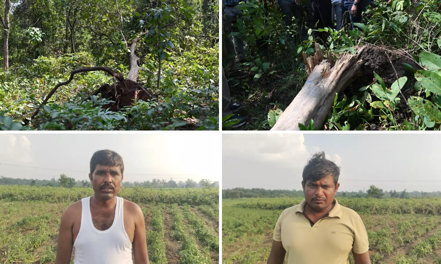 4 Farmers Live To Tell Tale Of Escaping Godavari Waterspout