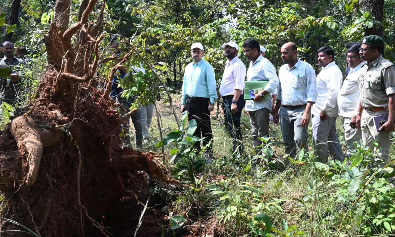 Bhupalpally: Collector Promises Aid to Farmers Hit By Tornado