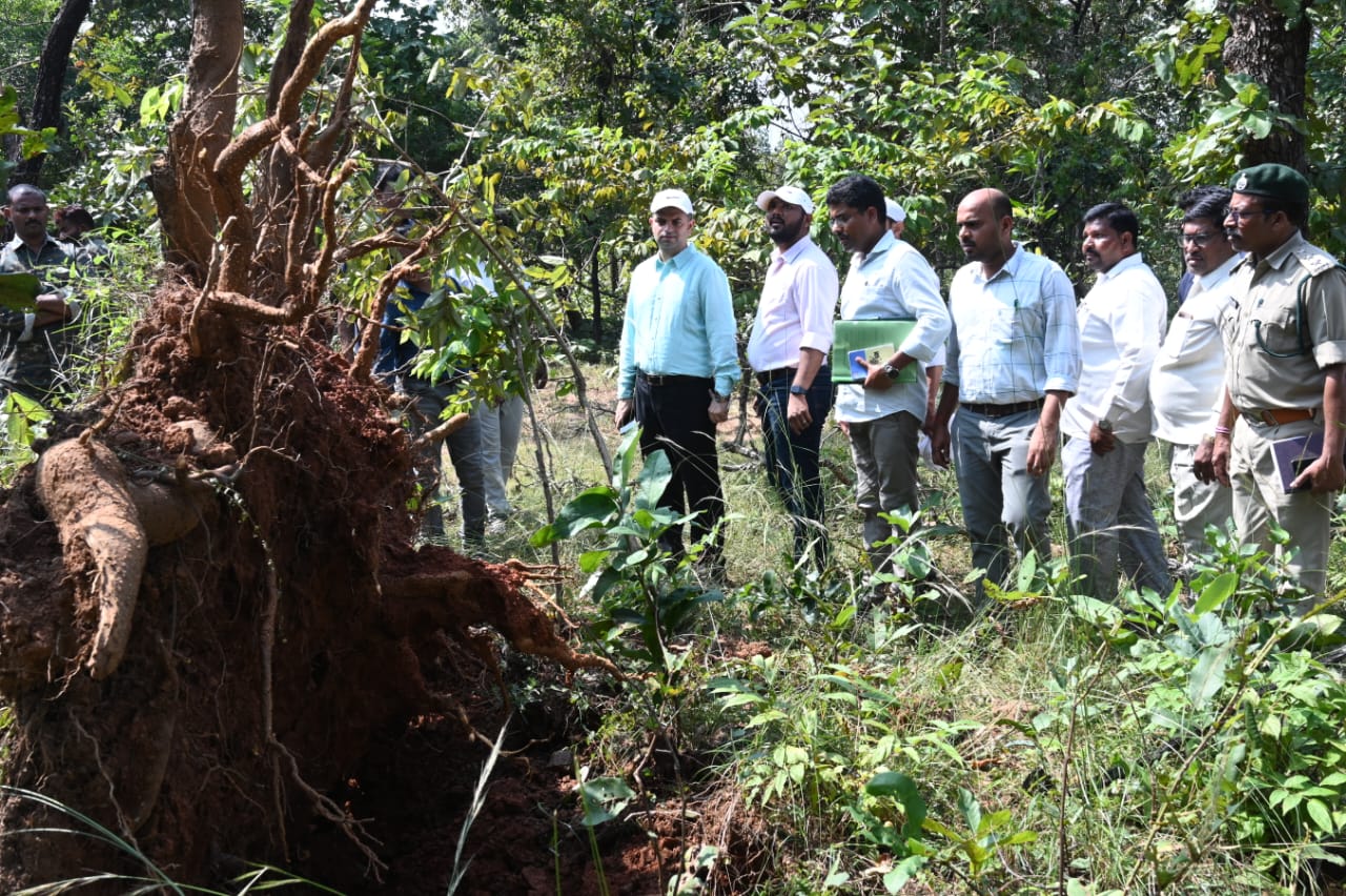 Bhupalpally: Collector Promises Aid to Farmers Hit By Tornado