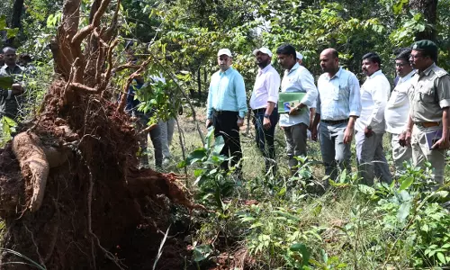 Bhupalpally: Collector Promises Aid to Farmers Hit By Tornado