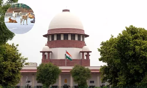 Move Stray Animals to Designated Shelters: SC