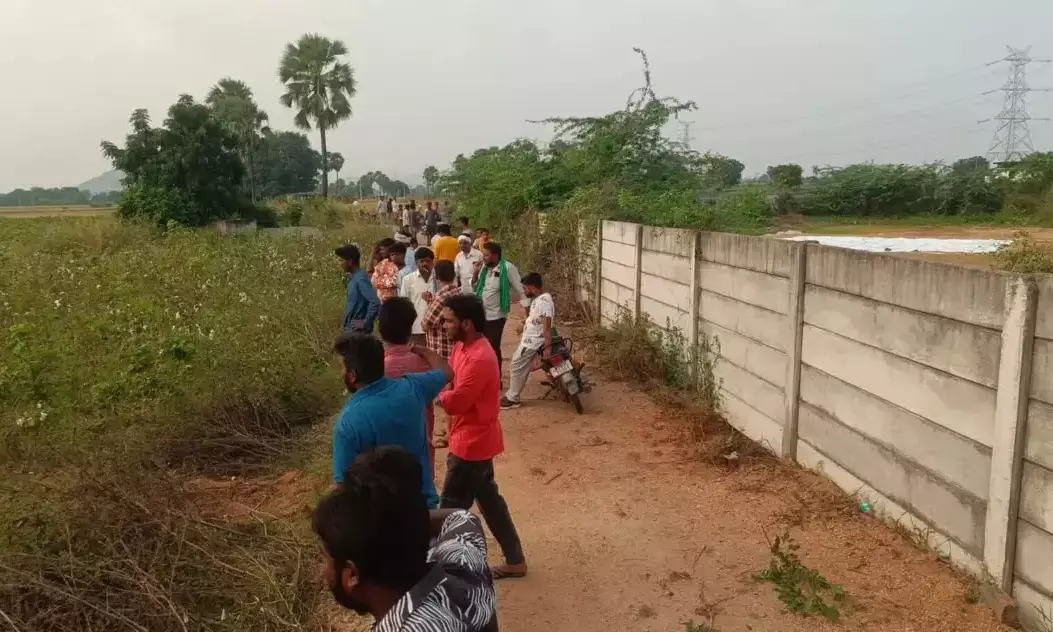 Villagers Scoop Up Country Chickens Dumped On Roadside In Hanamkonda