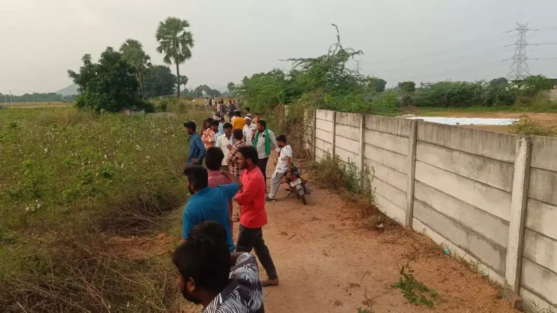 Villagers Collect Hundreds of Chickens Mysteriously Dumped on Roadside