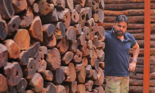 Andhra Pradesh Launches Yearlong Tech Drive on Red Sanders Smuggling