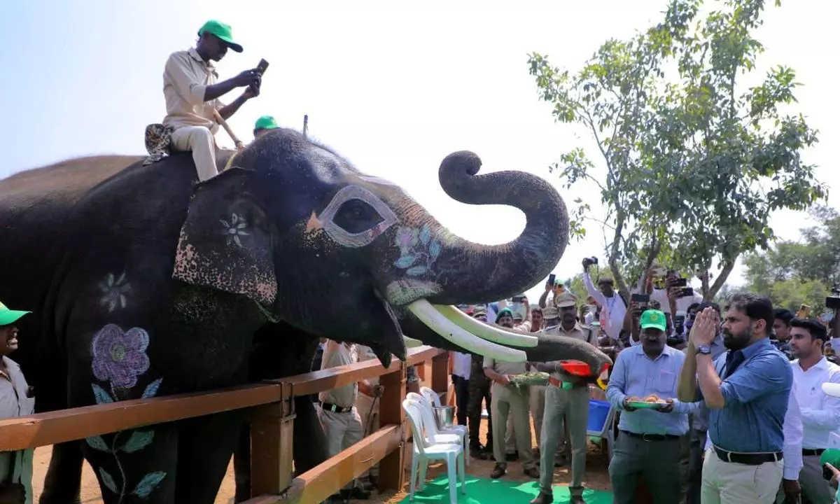 Pawan Inaugurates Kumki Camp, Reviews Project Hanuman