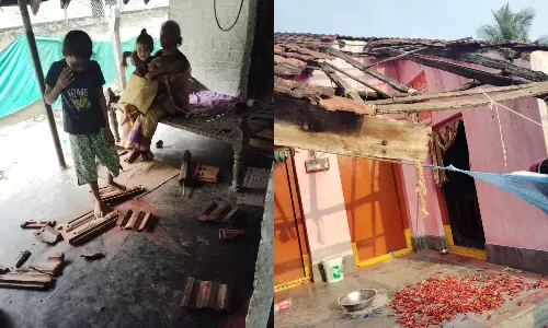 Wild Animals Entering Villages Left Uninhabited Due to KSEZ