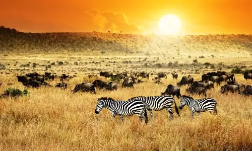 Kenya Tourism Board Named Africa’s Best Tourism Board at 2025 Balearica Awards