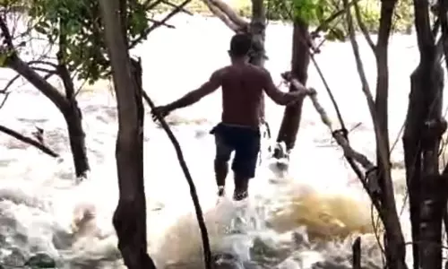 Residents of 3 AP Villages Risk Lives to Cross Stream on Makeshift Log Bridge Residents of 3 AP Villages Risk Lives to Cross Stream on Makeshift Log Bridge
