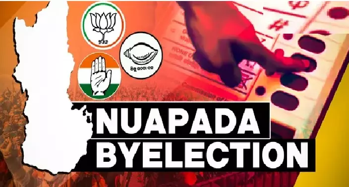 Nuapada Bypoll: Poll Officer Suspended for Breach of Secrecy; Voter Turnout Touches 77%