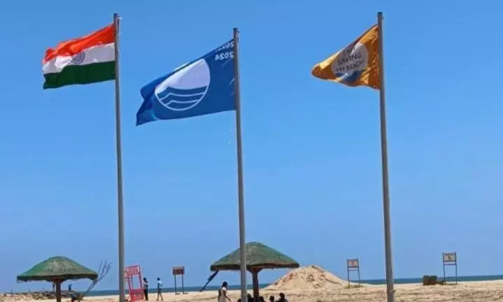 Kovalam Beach Gets Blue Flag Certification For 5th Year Kovalam Beach Gets Blue Flag Certification For 5th Year