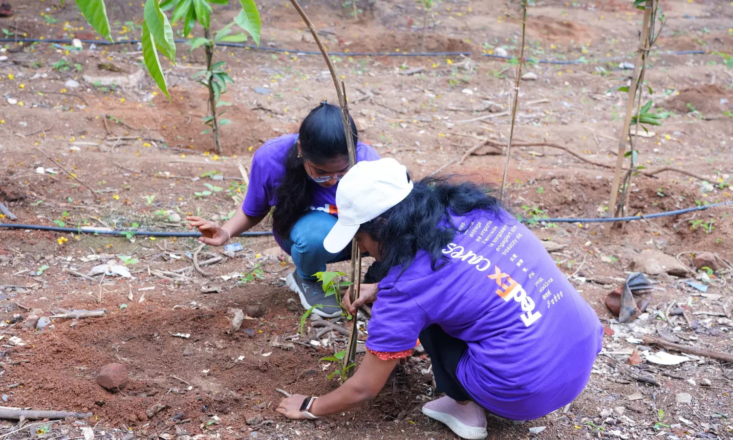 FedEx Plants 1,200 Trees At IIIT Hyderabad
