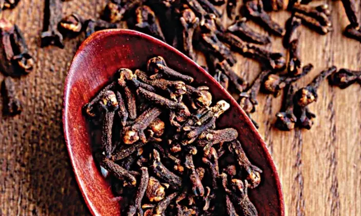 Clove At First Sight